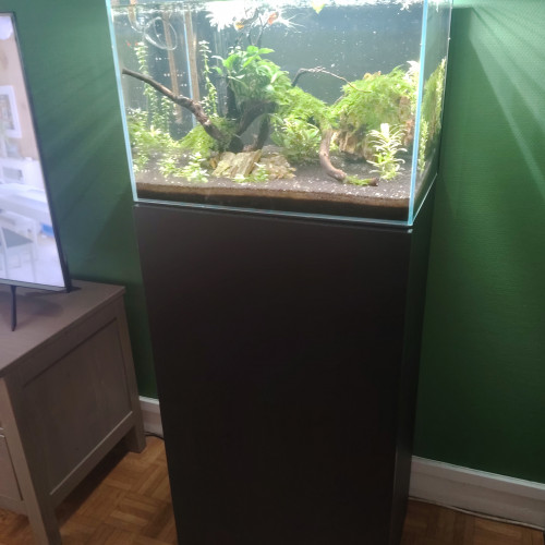 Aquarium 60L tout équipé avec meuble