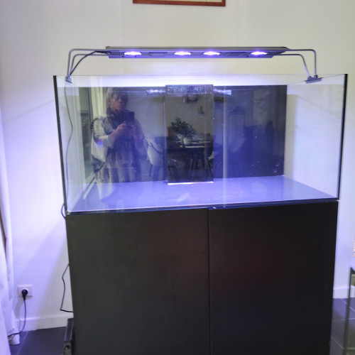 Aquarium red sea 120/55/60 de 2022 à vendre