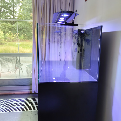 Aquarium red sea 120/55/60 de 2022 à vendre