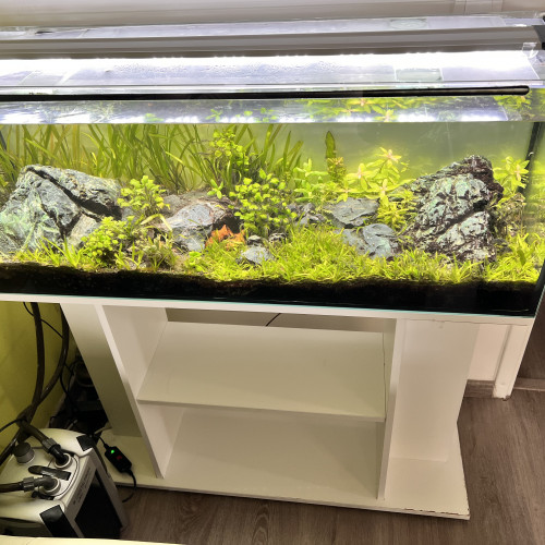 Aquarium 110 L COMPLET + MEUBLE ( avec rampe Led  + filtre + chauffage )