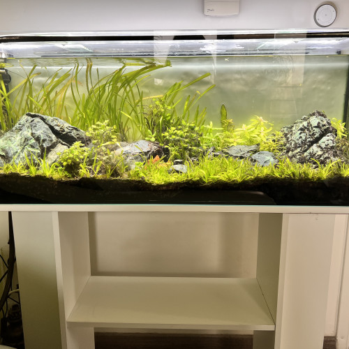 Aquarium 110 L COMPLET + MEUBLE ( avec rampe Led  + filtre + chauffage )