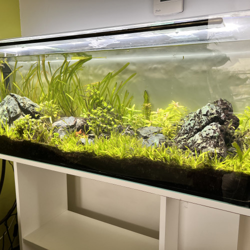 Aquarium 110 L COMPLET + MEUBLE ( avec rampe Led  + filtre + chauffage )