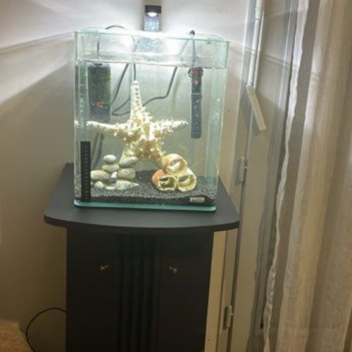 Plusieurs Nano 30l avec  caridina ou néo