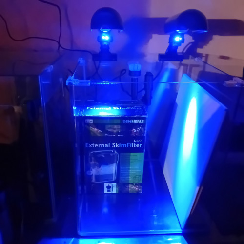 Dennerle 60L équipé récifal