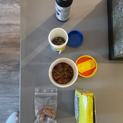 Faire offre pour 2 aquariums + nourriture et accessoires