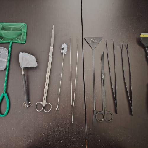 Aquarium 60L casi neuf