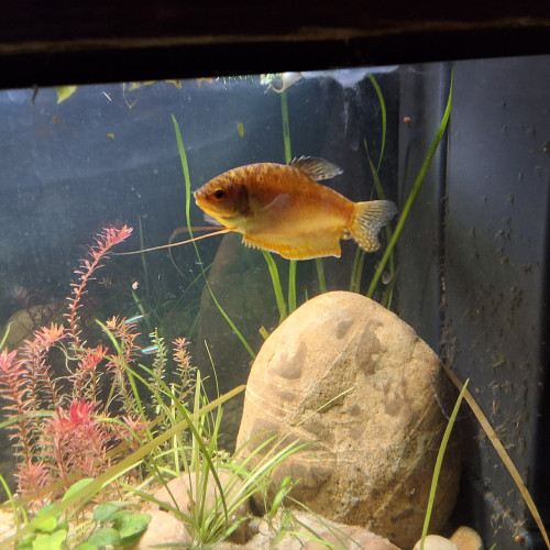 Donne contre bon soin