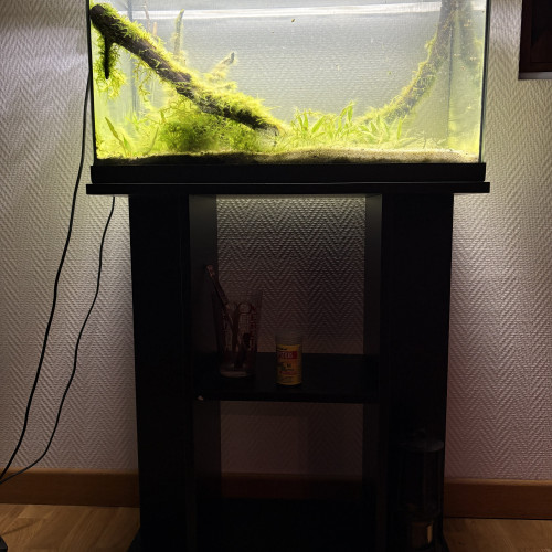 Cède aquarium complet et système de nettoyage