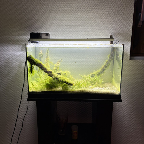 Cède aquarium complet et système de nettoyage