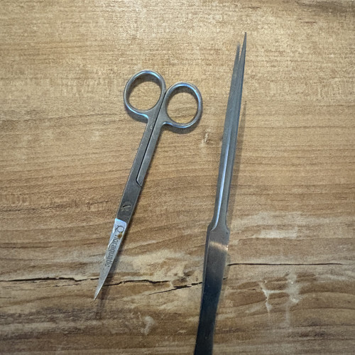 Cède aquarium complet et système de nettoyage