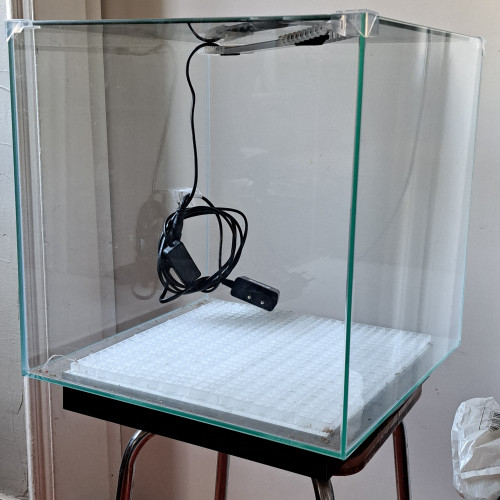 Aquarium cube 47L avec couvercle et éclairage LED