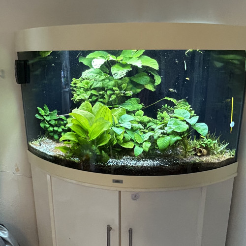 Aquarium juwel 190l avec pompe oase biomaster 600
