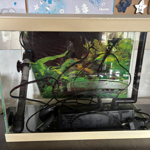 Aquarium 20l + pompe Ciano CF80 + matériel