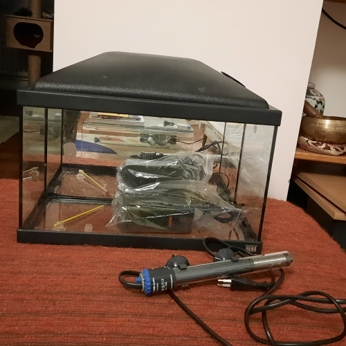 Juwel vision 180  + bac hopital et déco à donner en lot