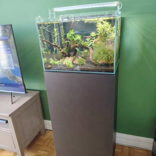Vend aquarium 60L