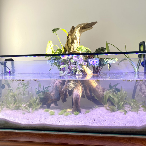 Aquarium / Vivarium Zolux 120L