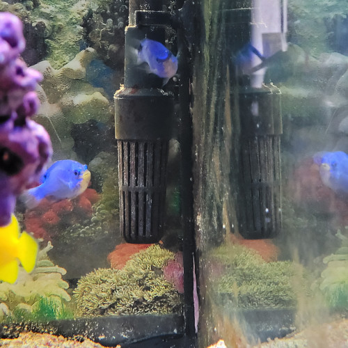 aquarium d angle complet eau de mer trigon 190 litres