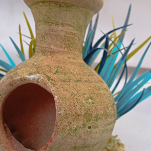 Amphore algues bleues