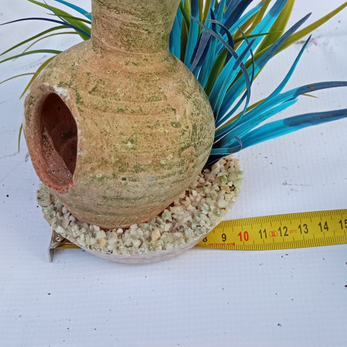 Amphore algues bleues