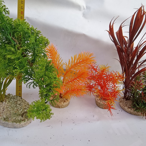 Lot de plantes avec supports