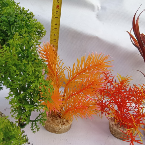 Lot de plantes avec supports