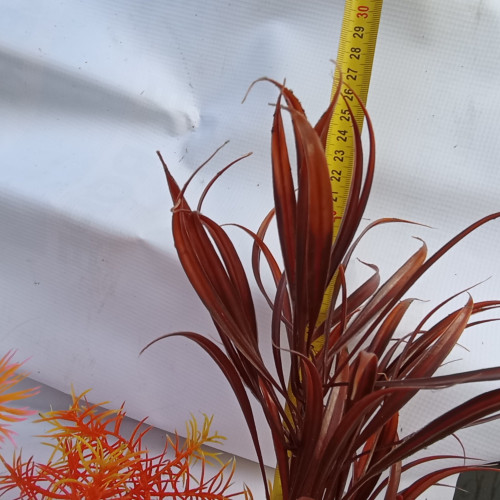 Lot de plantes avec supports