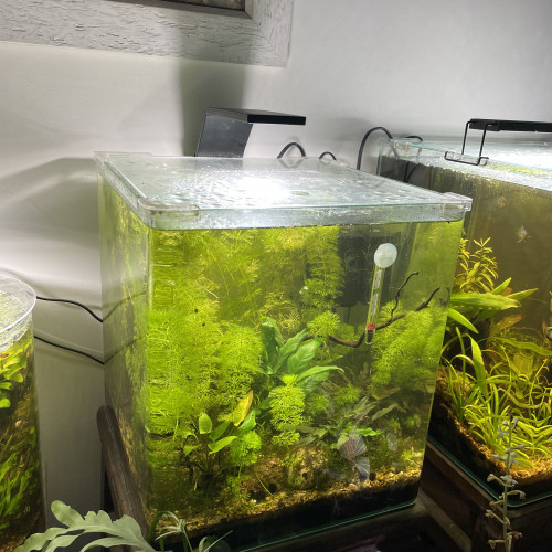 Aquarium 45 litres