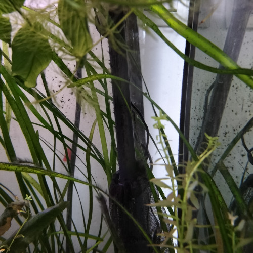 Aquarium aquatlantique 180l +meuble