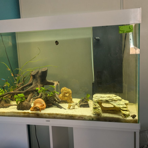 Aquarium 200l