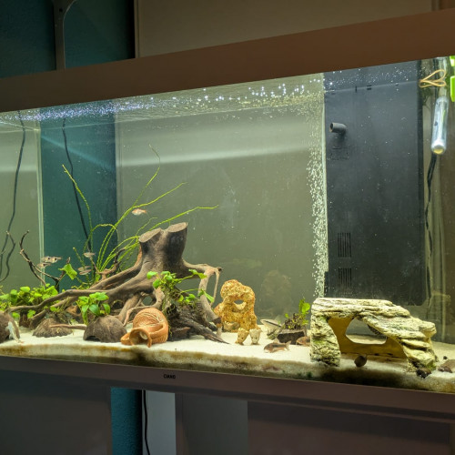 Aquarium 200l