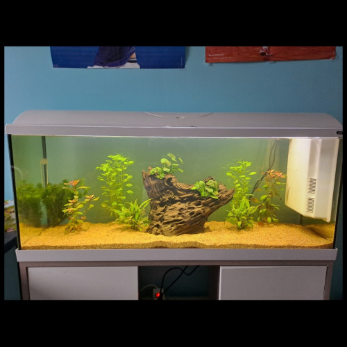 Aquarium zoolux iseo 100 litre tout équipé avec meuble