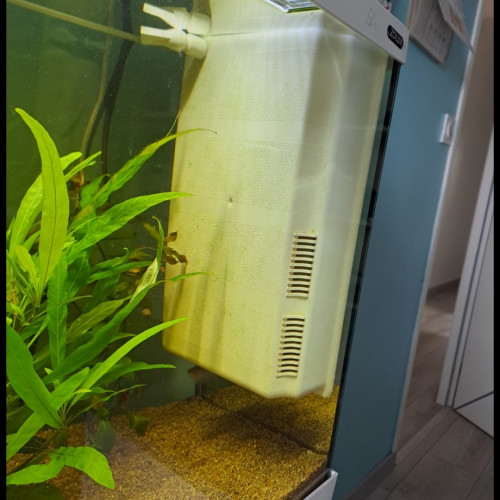 Aquarium zoolux iseo 100 litre tout équipé avec meuble
