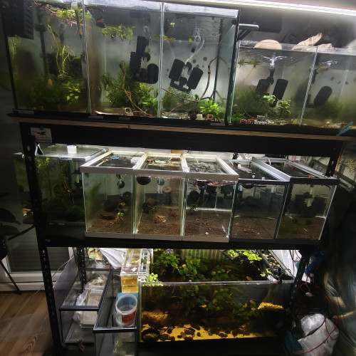 Disponibles à Andrésy (78 – Yvelines)