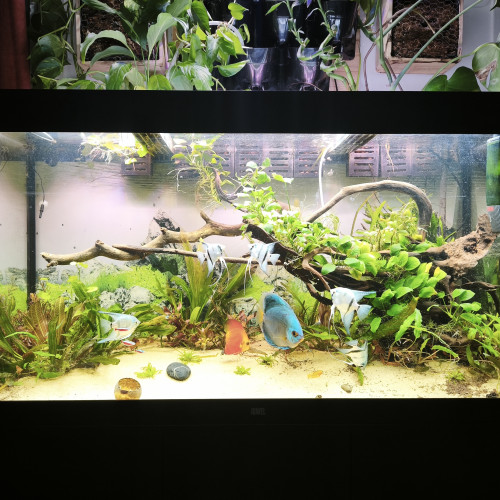 Disponibles à Andrésy (78 – Yvelines)