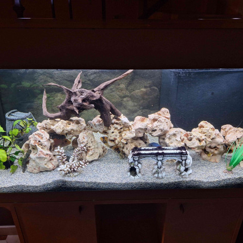 Aquarium 200 litres Ferplast complet avec meuble blanc  et accessoires