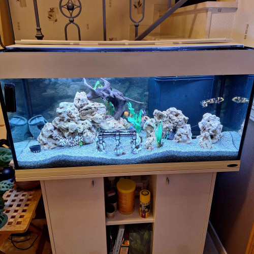 Aquarium 200 litres Ferplast complet avec meuble blanc  et accessoires
