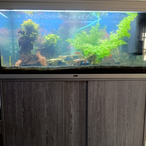 AQUARIUM 300 LITRES + MEUBLE