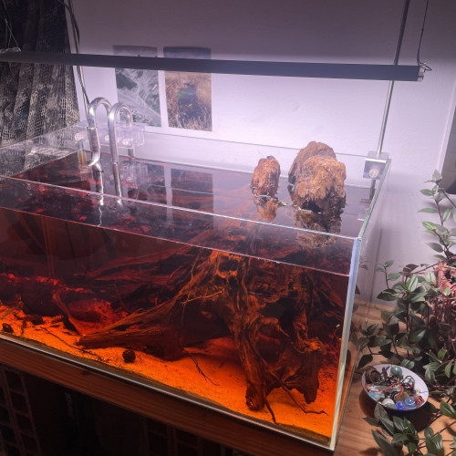 Aquarium 60L Équipé, voir description