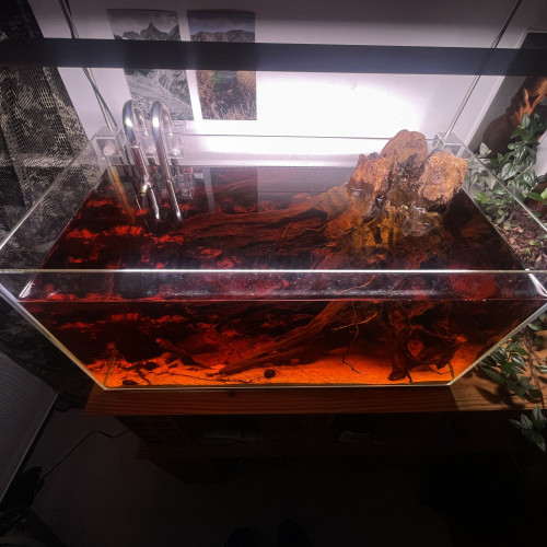 Aquarium 60L Équipé, voir description