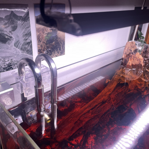 Aquarium 60L Équipé, voir description