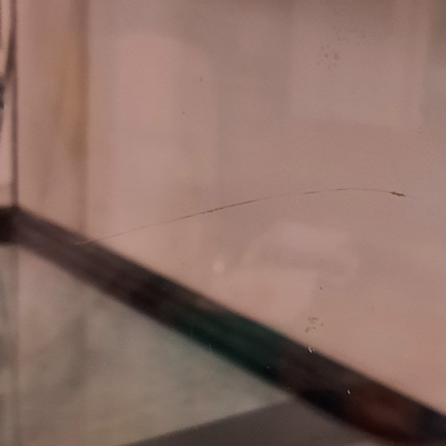 Juwel vision 180  + bac hopital et déco à donner en lot