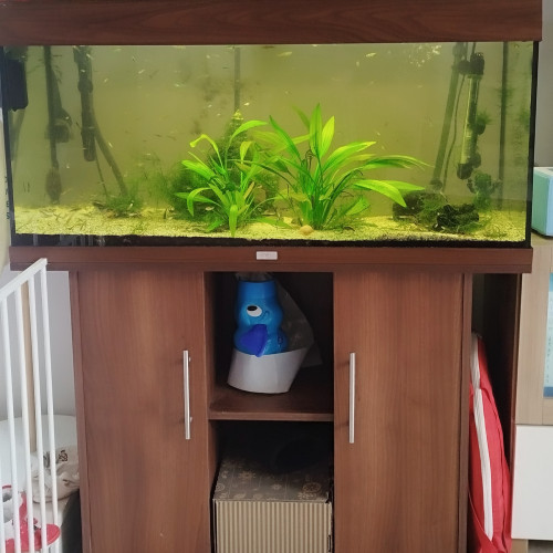 Aquarium juwel rio 180