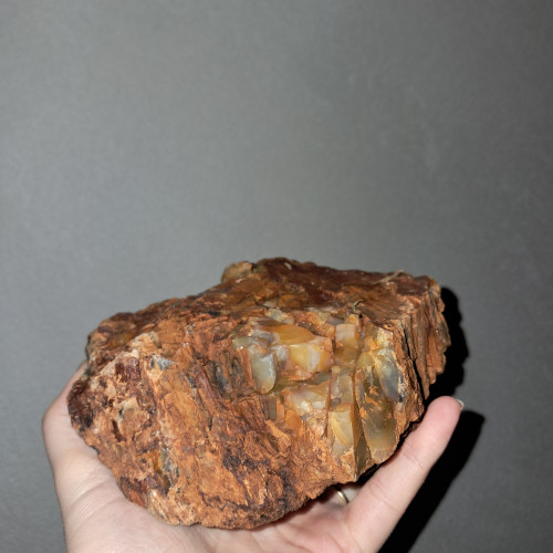 Échange racine et grosse pierre contre poissons, plantes ou nano crevettes.