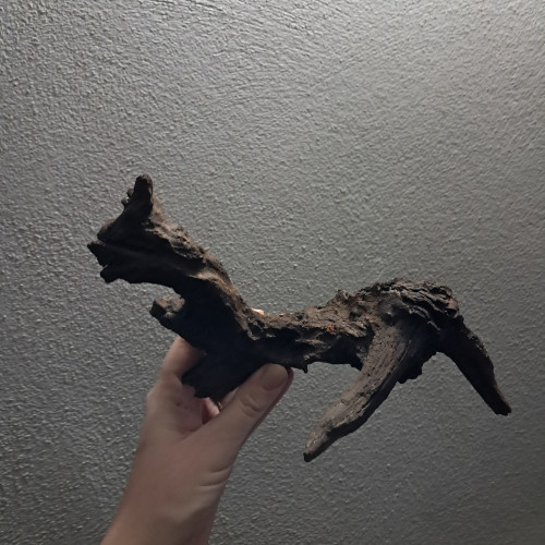 Échange racine et grosse pierre contre poissons, plantes ou nano crevettes.