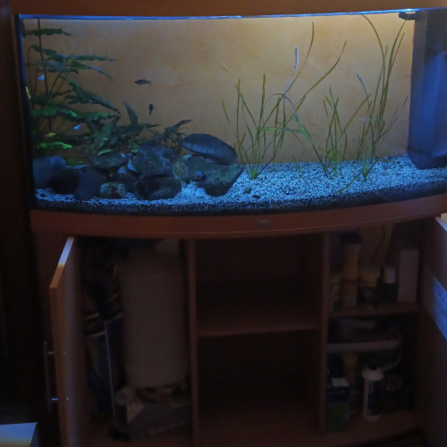 Aquarium 380L avec ou sans poissons