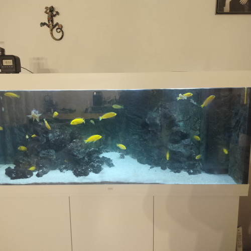 Aquarium 450 litre blanc avec meuble