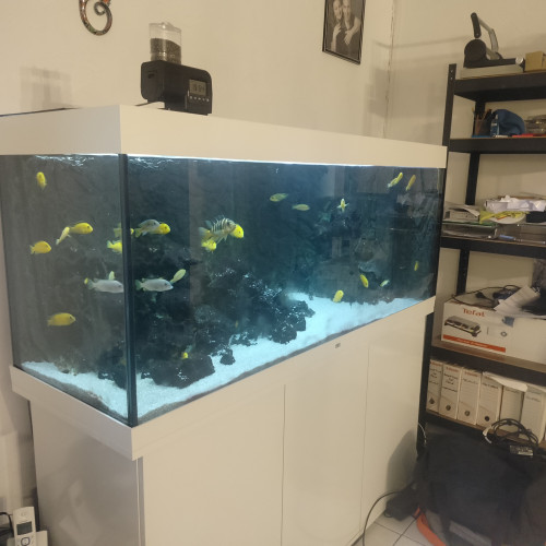 Aquarium 450 litre blanc avec meuble