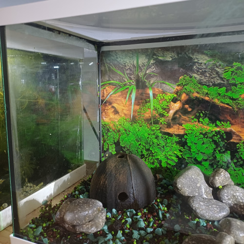 Aquarium 20L equipé sol bleu et noir