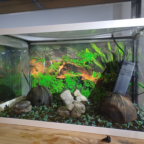 Aquarium 20L equipé sol bleu et noir