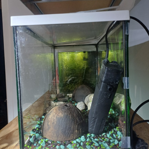 Aquarium 20L equipé sol bleu et noir